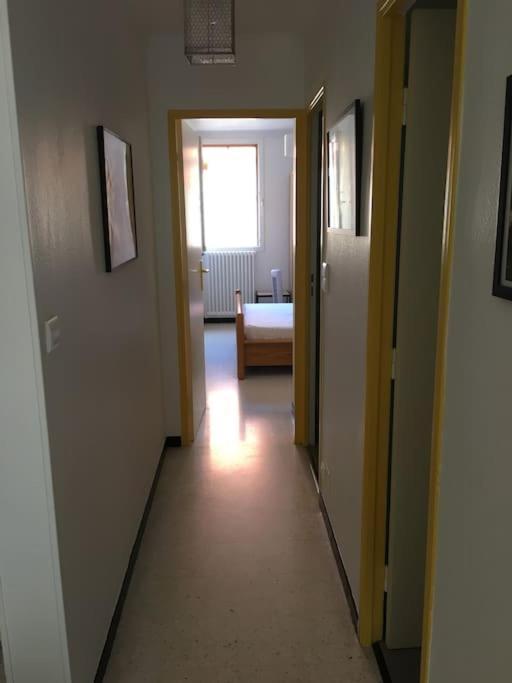 Bel Appartement 4Pers Rdc/Parking/Terrasse/ Jardin Collioure Extérieur photo
